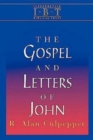 Image for Gospel and Letters of John: Interpreting Biblical Texts Series