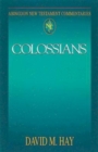 Image for Abingdon New Testament Commentaries: Colossians