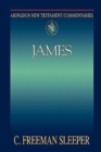 Image for Abingdon New Testament Commentaries: James