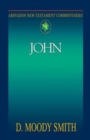 Image for Abingdon New Testament Commentaries: John