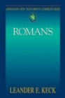 Image for Abingdon New Testament Commentaries: Romans