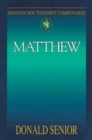 Image for Abingdon New Testament Commentaries: Matthew