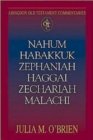 Image for Abingdon Old Testament Commentaries: Nahum, Habakkuk, Zephaniah, Haggai, Zechariah, Malachi