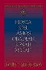 Image for Abingdon Old Testament Commentaries: Hosea, Joel, Amos, Obadiah, Jonah, Micah: Minor Prophets