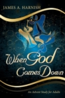 Image for When God Comes Down : An Advent Study for Adults