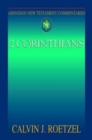 Image for Abingdon New Testament Commentaries: 2 Corinthians