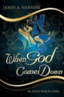 Image for When God Comes Down: An Advent Study for Adults