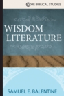 Image for Wisdom literature