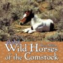 Image for Baby Wild Horses of the Comstock