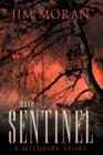 Image for The Sentinel : A Wildfire Story