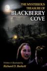 Image for The Mysterious Treasure of Blackberry Cove
