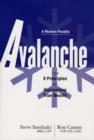 Image for Avalanche : The 9 Principles for Uncovering True Wealth