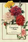 Image for Carnations and Pinks