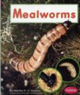 Image for Mealworms