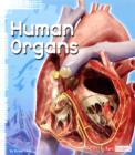 Image for Human organs