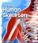 Image for The human skeleton