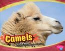 Image for Camels (Asian Animals)