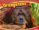 Image for Orangutans (Asian Animals)