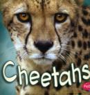 Image for Cheetahs