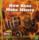 Image for How Bees Make Honey