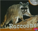 Image for Raccoons