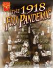 Image for The 1918 flu pandemic