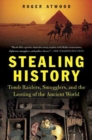 Image for Stealing history: tomb raiders, smugglers, and the looting of the ancient world