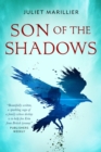 Image for Son of the Shadows: Book Two of the Sevenwaters Trilogy