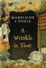 Image for A wrinkle in time