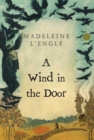 Image for A wind in the door
