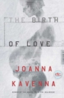 Image for Birth of Love: A Novel