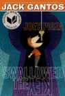 Image for Joey Pigza swallowed the key