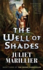 Image for The well of shades