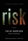 Image for Risk: A Novel