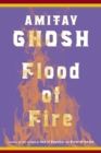 Image for Flood of fire: a novel