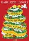 Image for Twenty-four Days Before Christmas: An Austin Family Story