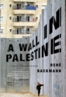 Image for Wall in Palestine