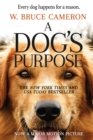 Image for A Dog&#39;s Purpose: A Novel for Humans