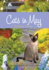 Image for Cats in May