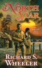 Image for North Star: A Barnaby Skye Novel