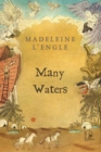 Image for Many waters