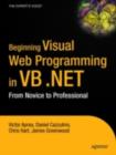 Image for Beginning visual Web programming in VB.NET: from novice to professional