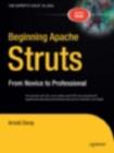 Image for Beginning Apache Struts: From Novice to Professional