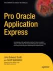 Image for Pro Oracle Application Express