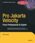 Image for Pro Jakarta Velocity: from professional to expert