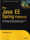 Image for Pro Java EE Spring Patterns: best practices and design strategies implementing Java EE patterns with the spring framework