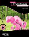 Image for Foundation HTML5 canvas