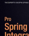 Image for Pro Spring Integration