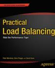 Image for Practical load balancing: ride the performance tiger