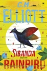 Image for Sibanda and the rainbird